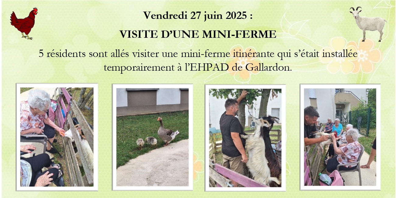 Visite d'une mini-ferme à l'EHPAD de Gallardon